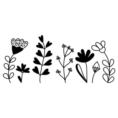 Bir grup orman ve çayır bitkisi. Beyaz arka planda izole edilmiş bir siluetin el çizimi temsili temsili. Posterlerin, kartpostalların, tişörtlerin, fincanların ve daha fazlasının tasarımı için elementler.