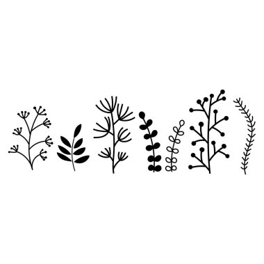 Orman ve tarla bitkileri. Vektör El çizilmiş siluet çizimi beyaz arkaplanda izole edildi. Poster, kartpostal, tişört, fincan ve daha fazlası için elementler..