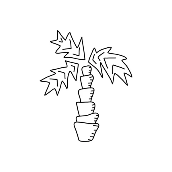 Palmiye Ağaçları Çizimi Boyama Kitabı Çocuklar Için Stres Önleyici Boyama — Stok Vektör
