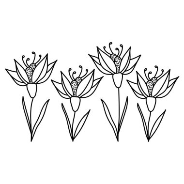 Zambaklarla sınır. Beyaz arka planda çiçek desenli el çizimi. Vektör çizimi. Siyah ve beyaz.