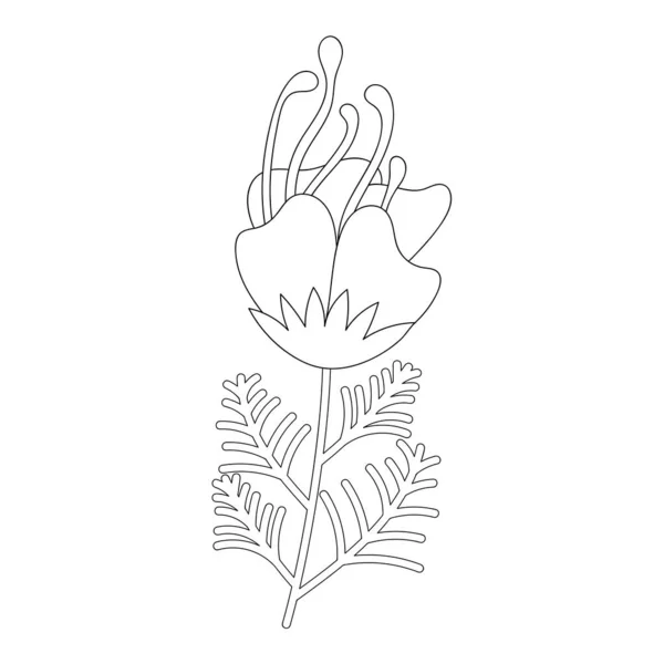Fantastic Flower Stress Coloring Pages Doodle Art Design Elements Black — Stock Vector