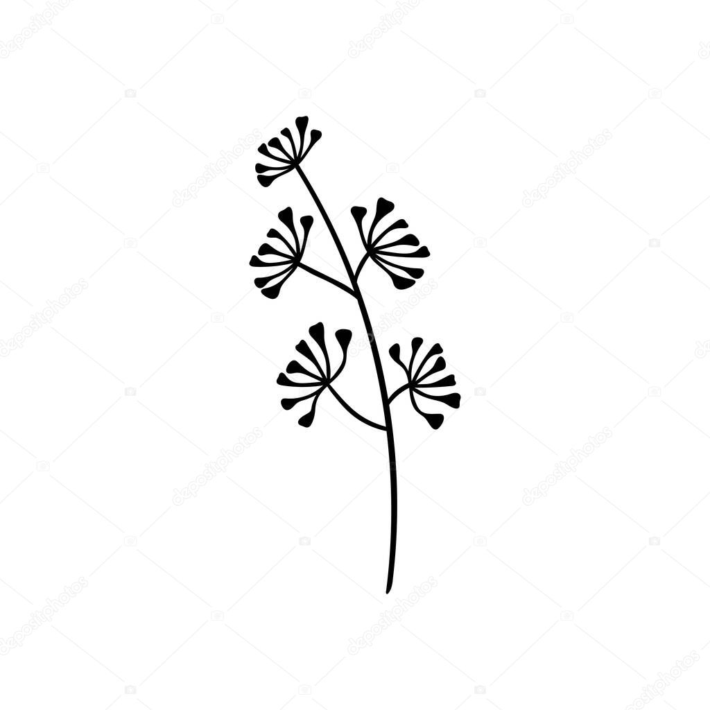 Hand drawn herbal plant isolated on white background. Doodle outline for greeting card, logo. Vector illustration.