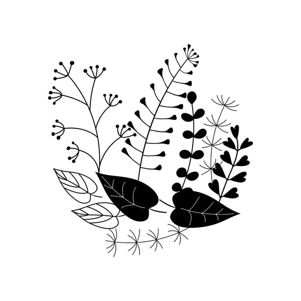 简单的小枝 叶子和草本植物 植物标本的轮廓 矢量手绘黑白画 你设计的构图 — 图库矢量图片
