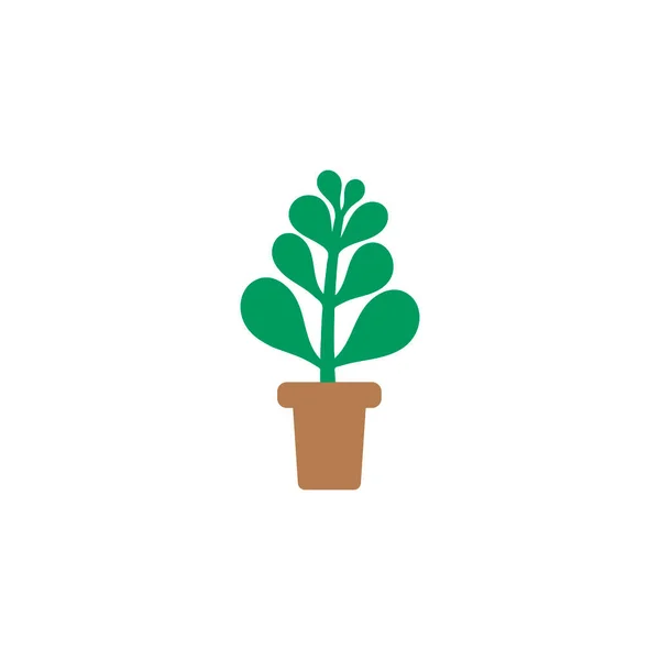 Une Plante Pot Crassulaceae Style Plat Arbre Argent Vert Symbole — Image vectorielle