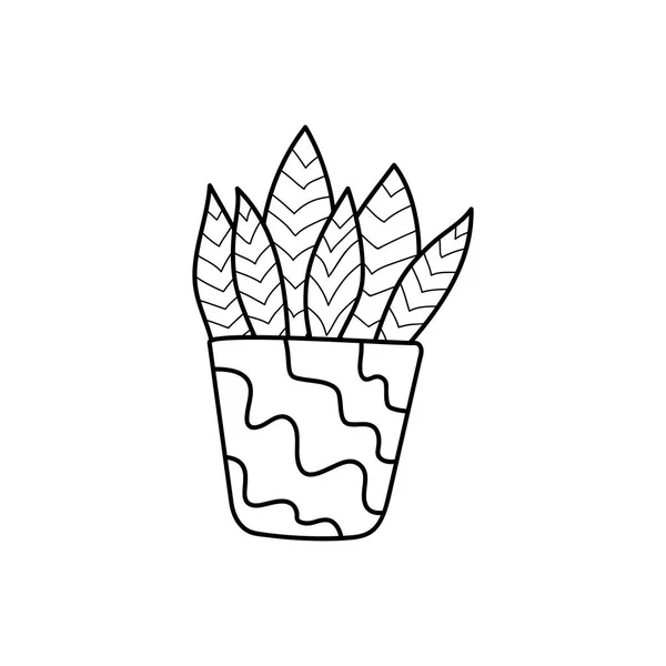 Plante Pot Intérieur Style Doodle Joli Cactus Modèle Noir Blanc — Image vectorielle