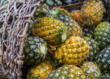 Tatlı ananas yığın bahçe içinde