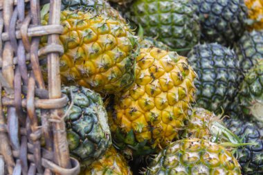 Tatlı ananas yığın bahçe içinde