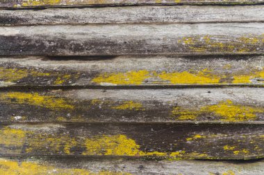 Ahşap kahverengi tahta doku arka plan üzerine yapılmış duvar