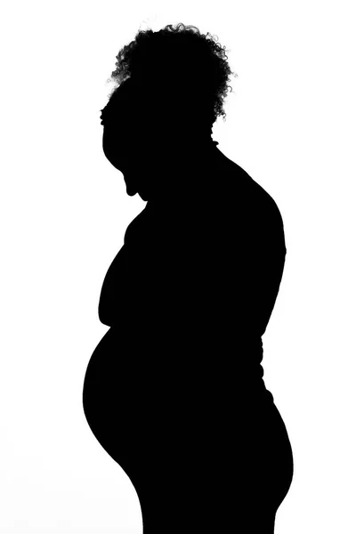 Retrato Una Hermosa Mujer Embarazada —  Fotos de Stock