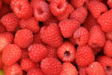 Ahududu. Sağlık için taze gıdalar