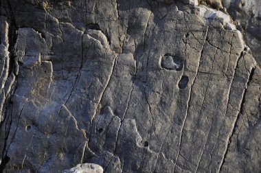 exture'nın Adriyatik Denizi kıyısında taş