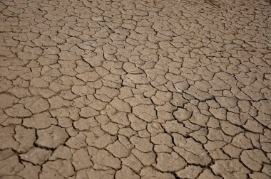 Çevre felaketinin sonuçları