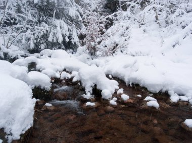 Kışın kar yağdı shore ile kil renkli Nehri