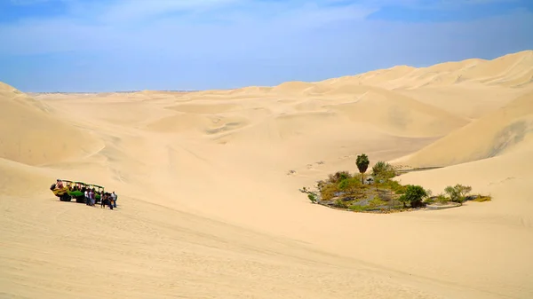 Oasis Desierto — Foto de Stock