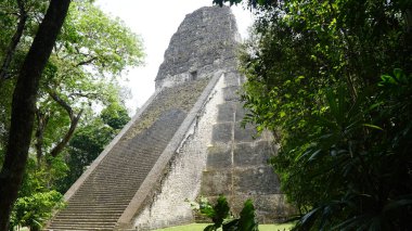 Guatemala Tikal Ulusal Parkı içinde Maya piramit
