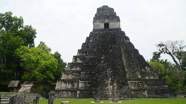 Maya Pyramid National Park Tikal Guatemala — Stock Photo, Image