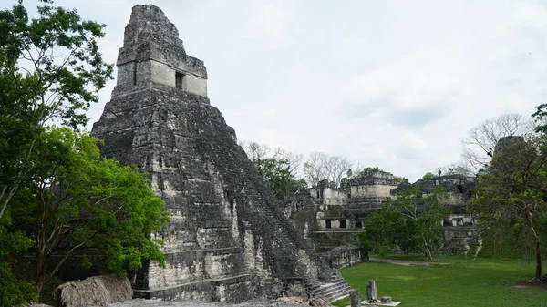 Guatemala Tikal Ulusal Parkı Içinde Maya Piramit — Stok fotoğraf