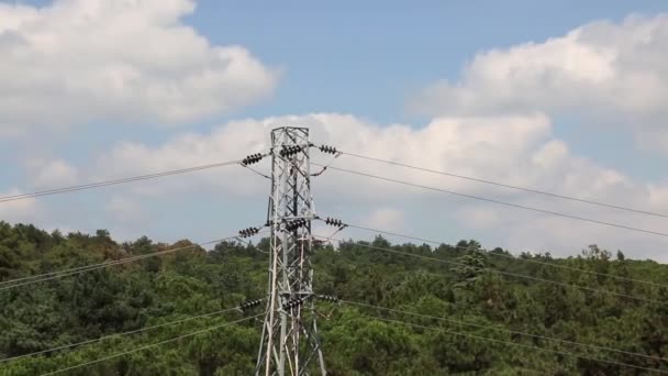 Transmission Tower High Voltage Power Line Forest — Stock Video