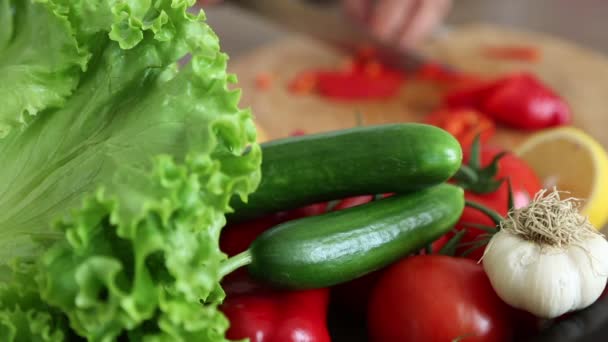 Příprava Vegetariánská Jídla Vaření Zeleniny — Stock video