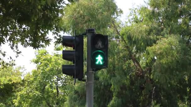 市内の歩行者信号 — ストック動画