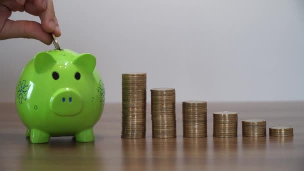 Geld Besparen Met Een Piggy Bank — Stockvideo