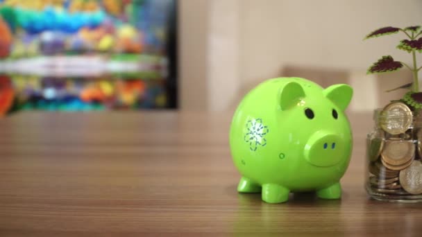 Piggy Bank Planten Munt Boom — Stockvideo