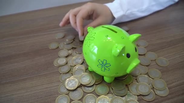 Het Maken Van Geld Concept Piggy Bank — Stockvideo