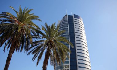 Gökdelenler ve palmiye ağaçları