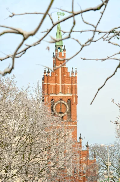 Kaliningrad Kutsal Aile Kilisesi. Rusya Stok Resim