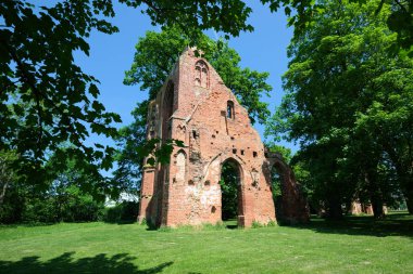 Eldena manastır harabe