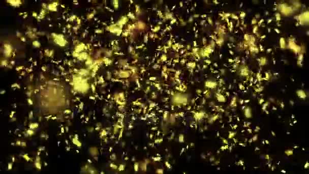 Animation of falling down confetti — Stock Video