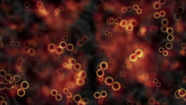 Cellen verdelen animatie achtergrond — Stockvideo