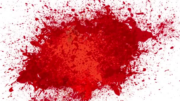 Blood splash animation — Stock Video