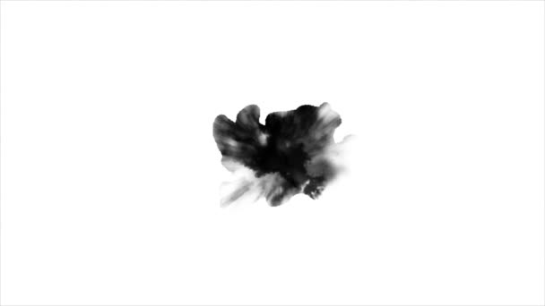 Black ink spot — Stock Video