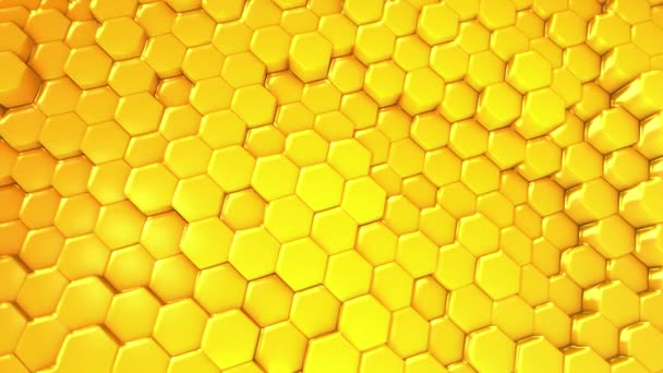 Honeycomb Animovaný Vlnící Šestiúhelníkový Vzor — Stock video