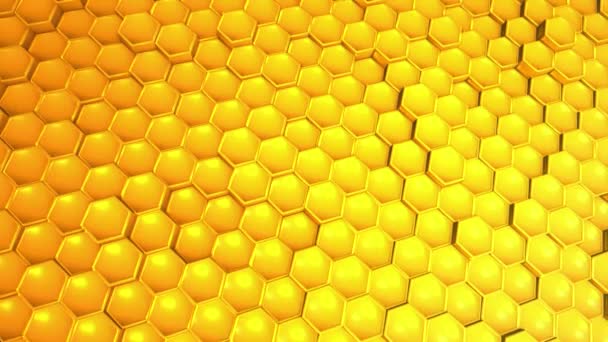 Honeycomb Animerade Vinkar Sexkantigt Mönster — Stockvideo