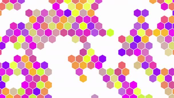 Abstract Hexagon Geometric Background Animated Pattern — Stock Video