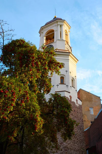 Veduta dell'antica Torre dell'Orologio a Vyborg — Foto Stock