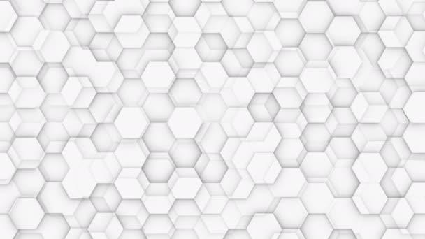 Abstract Hexagon Geometric Background Animated Pattern — Stock Video