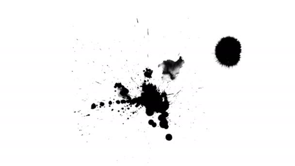 Beyaz Arkaplanda Siyah Mürekkep Damlaları — Stok video