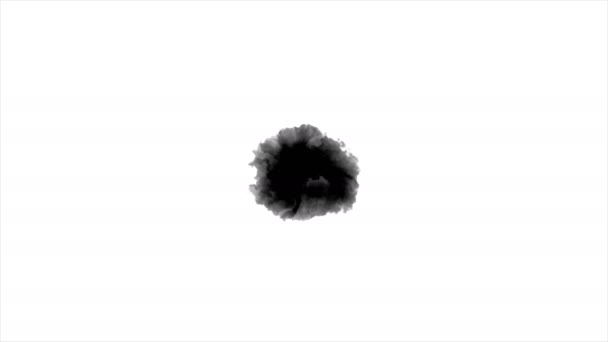 Black Inks Drops White Background — Stock Video