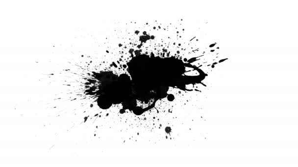 Black Inks Drops White Background — Stock Video