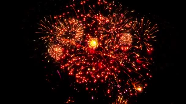 Fuegos Artificiales Coloridos Sobre Fondo Negro — Vídeo de stock