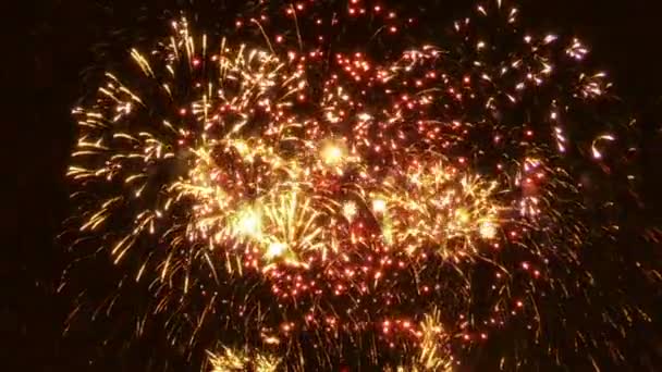 Feu Artifice Coloré Sur Fond Noir — Video