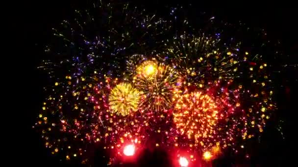 Színes Tűzijáték Fekete Háttér — Stock videók