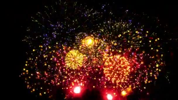 Fuegos Artificiales Coloridos Sobre Fondo Negro — Vídeo de stock