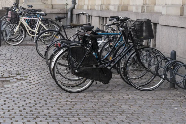 Kopenhag Şehrinde Bir Caddeye Parketmiş Birçok Bisiklet Var Stok Fotoğraf