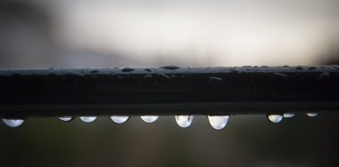 Yağmurdan sonra pencere ızgarasına su damlaları