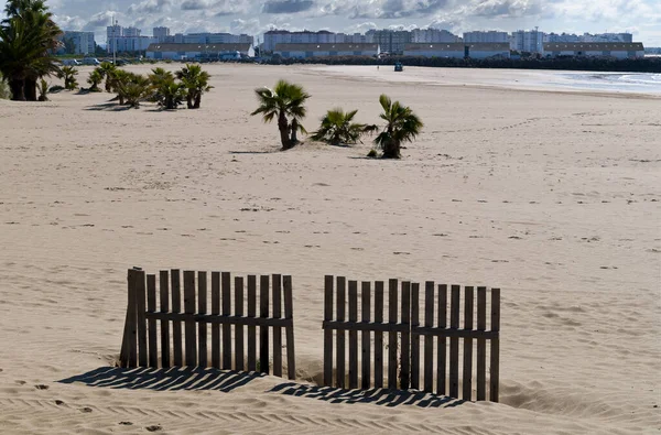 Skvělá Jemná Písečná Pláž Plotem Palmami Středozemním Moři — Stock fotografie