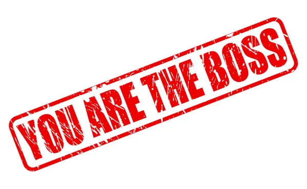 YOU ARE THE BOSS red stamp text — Stock Vector